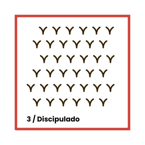 Discipulado