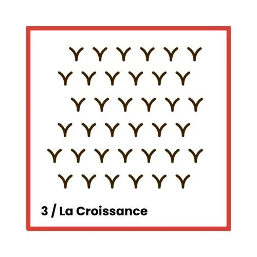 La Croissance